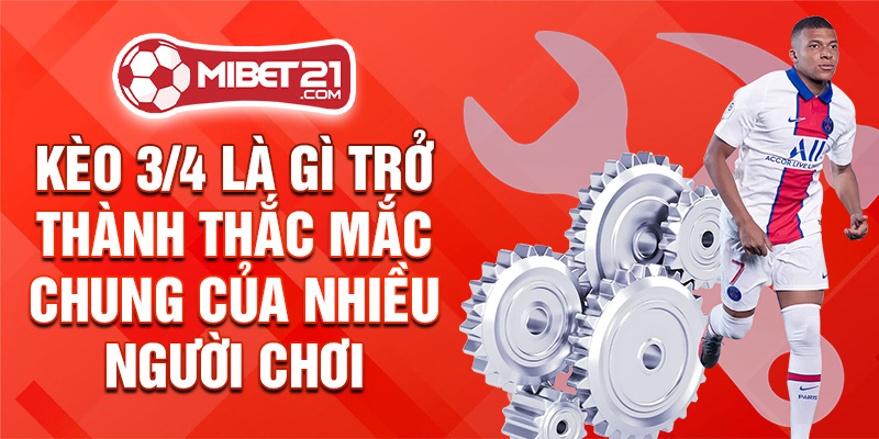 Kèo 3/4 là gì trở thành thắc mắc chung của nhiều người chơi