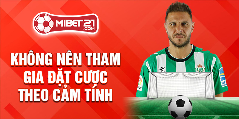 Không nên tham gia đặt cược theo cảm tính